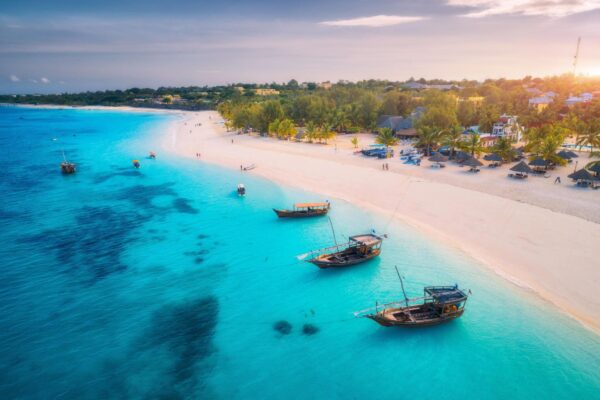 Elite Advisory Consulting Zanzibar
