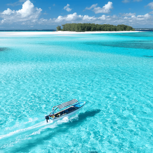 Invest in Zanzibar Elite Advisory Consulting Zanzibar
